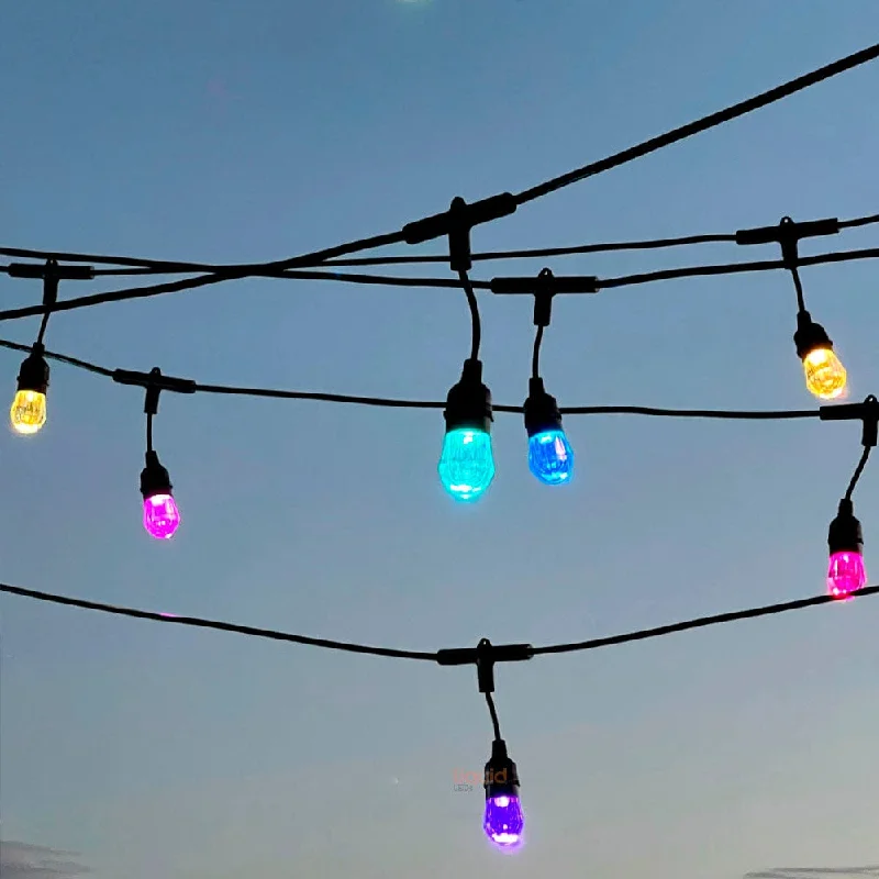 15 meter Smart Festoon String Lights with 15 LED Bulbs