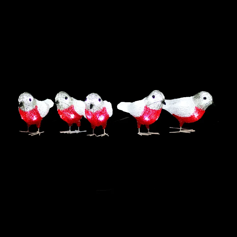 Acrylic LED Baby Bird (5pcs/set)