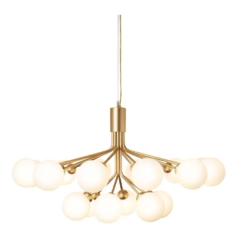 Apiales 18 Chandelier