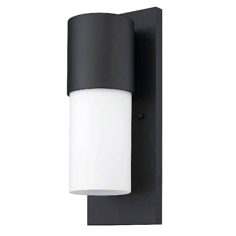 Contemporary Matte Black and White Wall Light By Homeroots