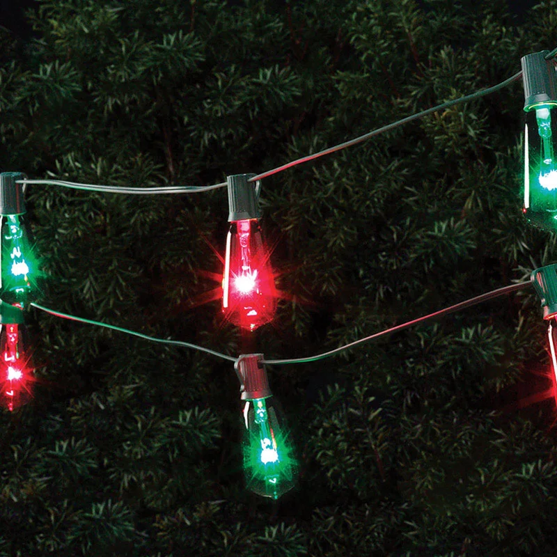 Celebrations  Mini  Multi  10 count String Lights  9 ft.